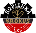 Herb Krokus Ropienka