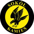 Herb Sokół Kamień