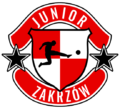 Herb Junior Zakrzów