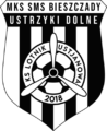 Herb Lotnik Bieszczady Ustrzyki Dolne